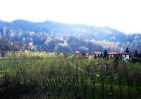 Vacanze in Italia