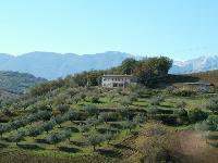 Vacanze in Italia