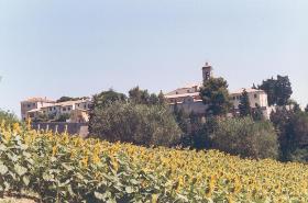 Castel Colonna 