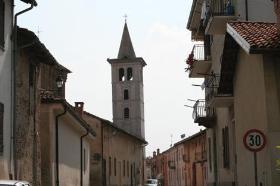Cervere