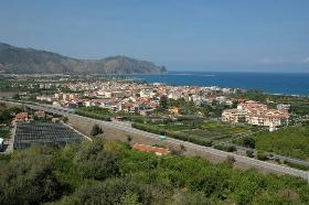 Falcone