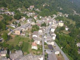 Frassino