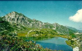 Magliano Alpi 