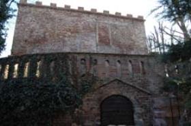 Piea