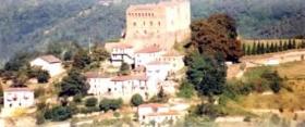 Prunetto