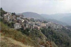 Tripi