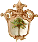 Comune d'Italia