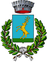 Comune d'Italia